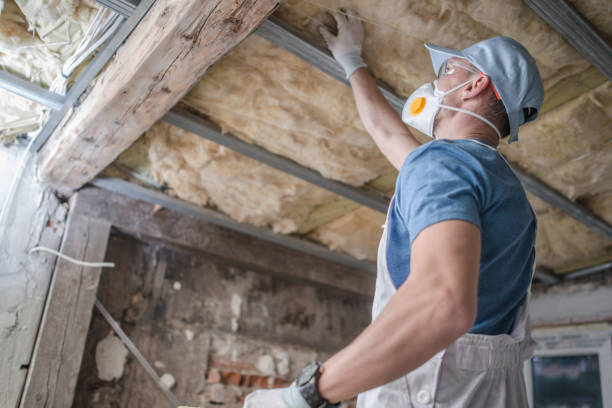 Best Basement Insulation  in Surf City, NJ